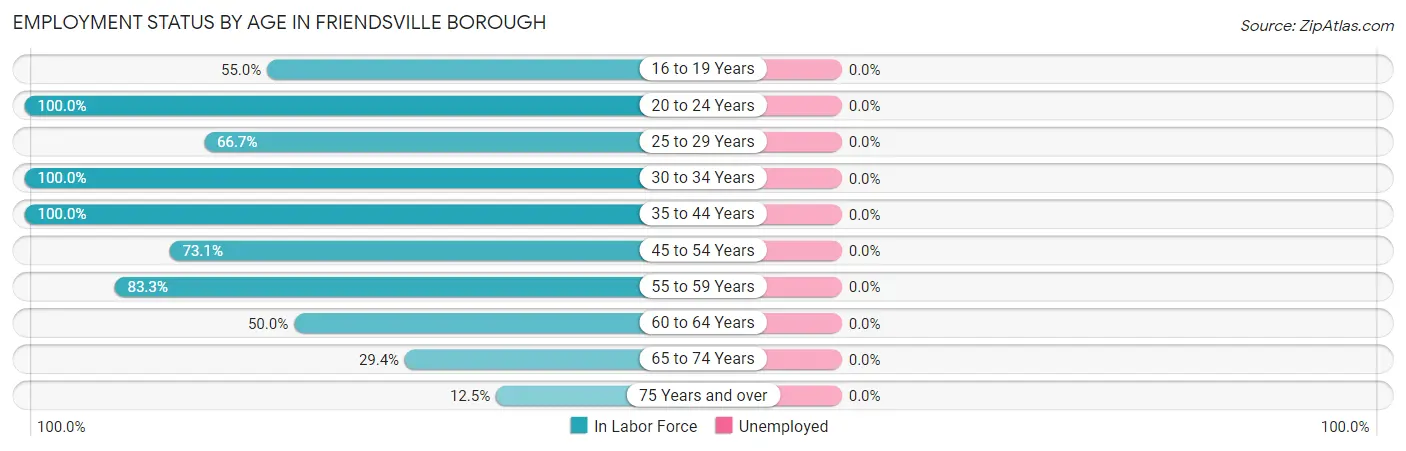 Employment Status by Age in Friendsville borough