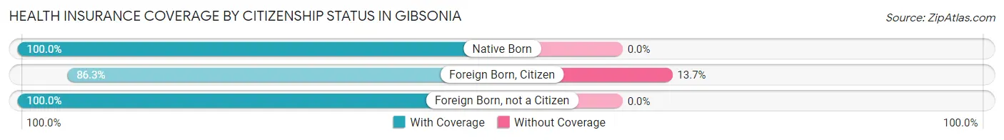 Health Insurance Coverage by Citizenship Status in Gibsonia