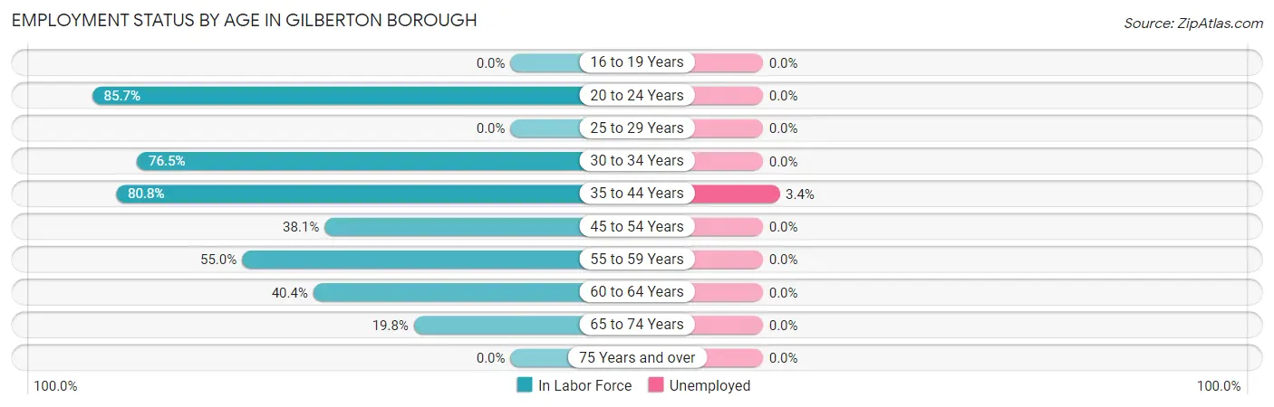 Employment Status by Age in Gilberton borough