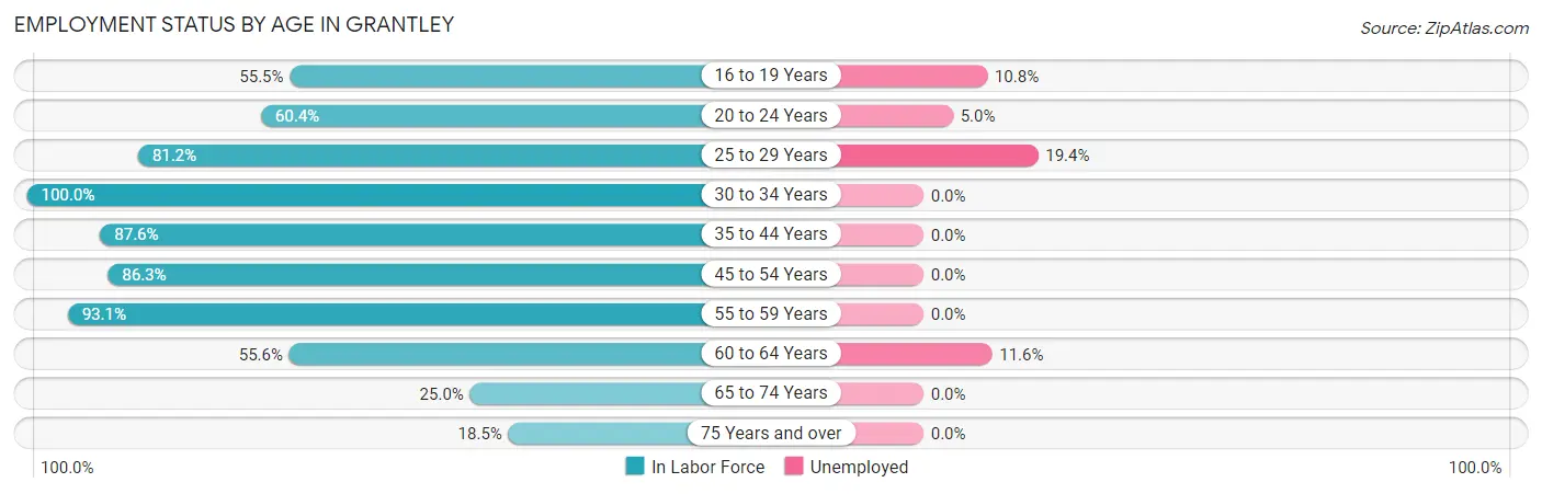 Employment Status by Age in Grantley