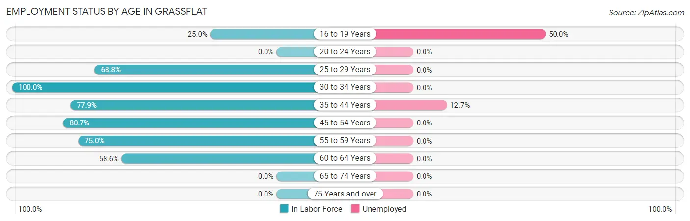 Employment Status by Age in Grassflat