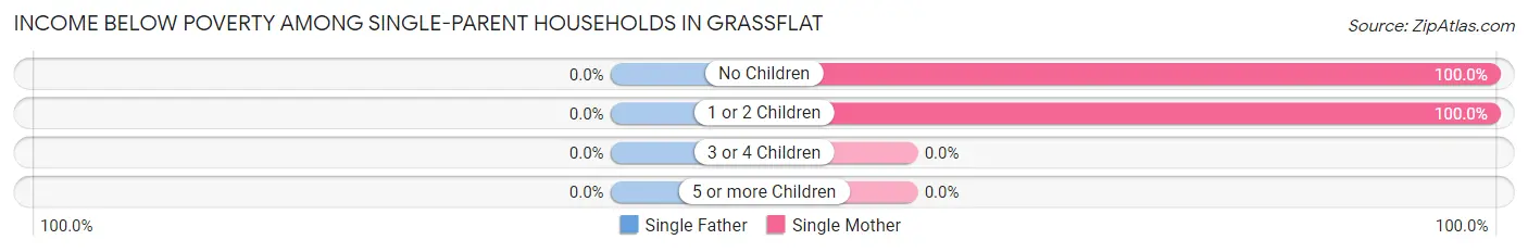 Income Below Poverty Among Single-Parent Households in Grassflat
