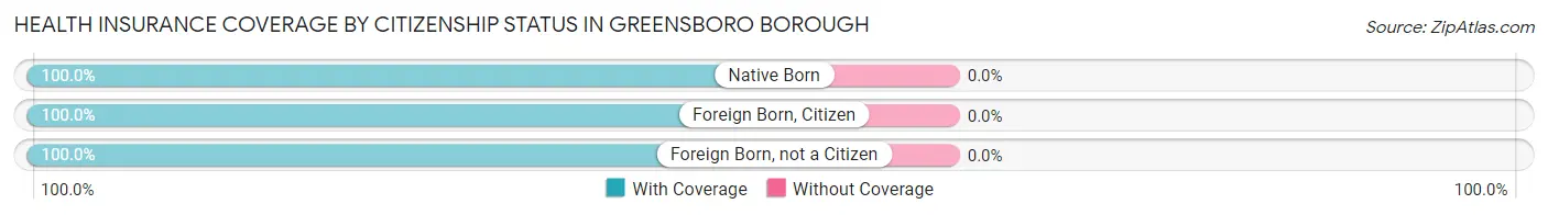 Health Insurance Coverage by Citizenship Status in Greensboro borough