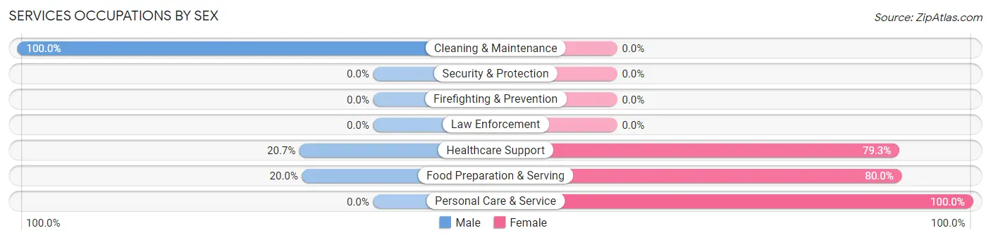 Services Occupations by Sex in Halifax borough