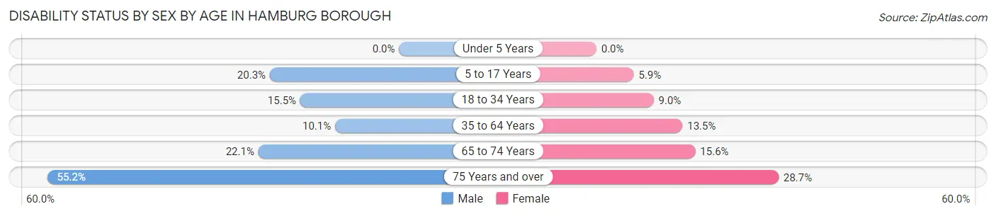 Disability Status by Sex by Age in Hamburg borough