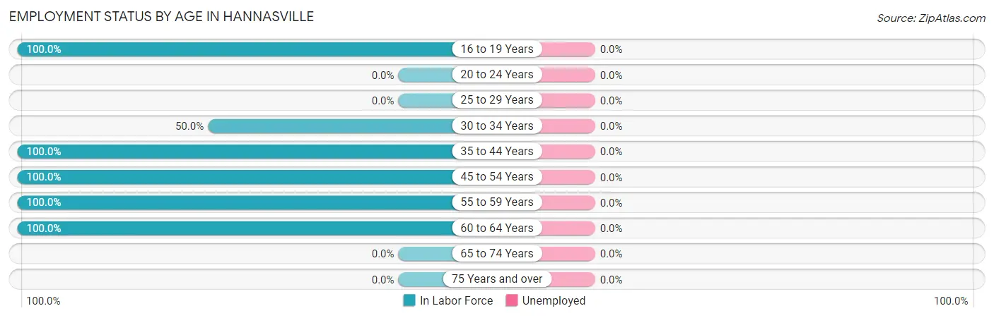 Employment Status by Age in Hannasville