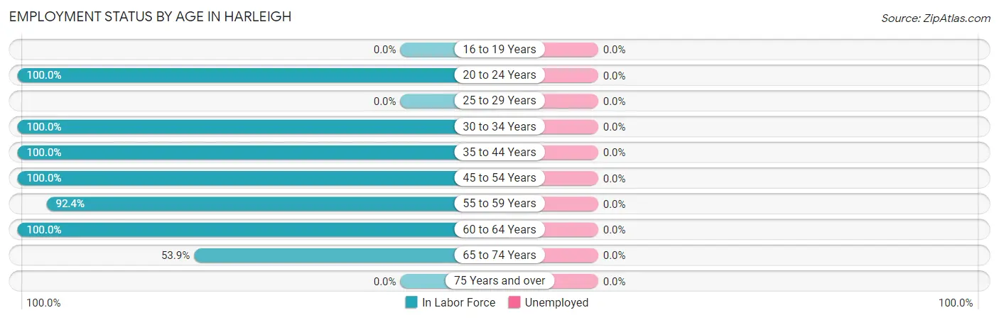 Employment Status by Age in Harleigh