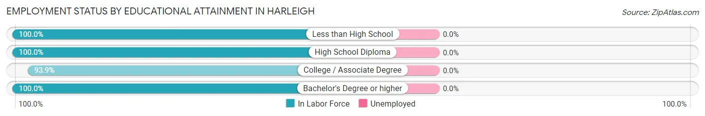 Employment Status by Educational Attainment in Harleigh