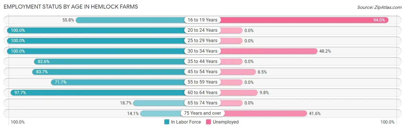 Employment Status by Age in Hemlock Farms