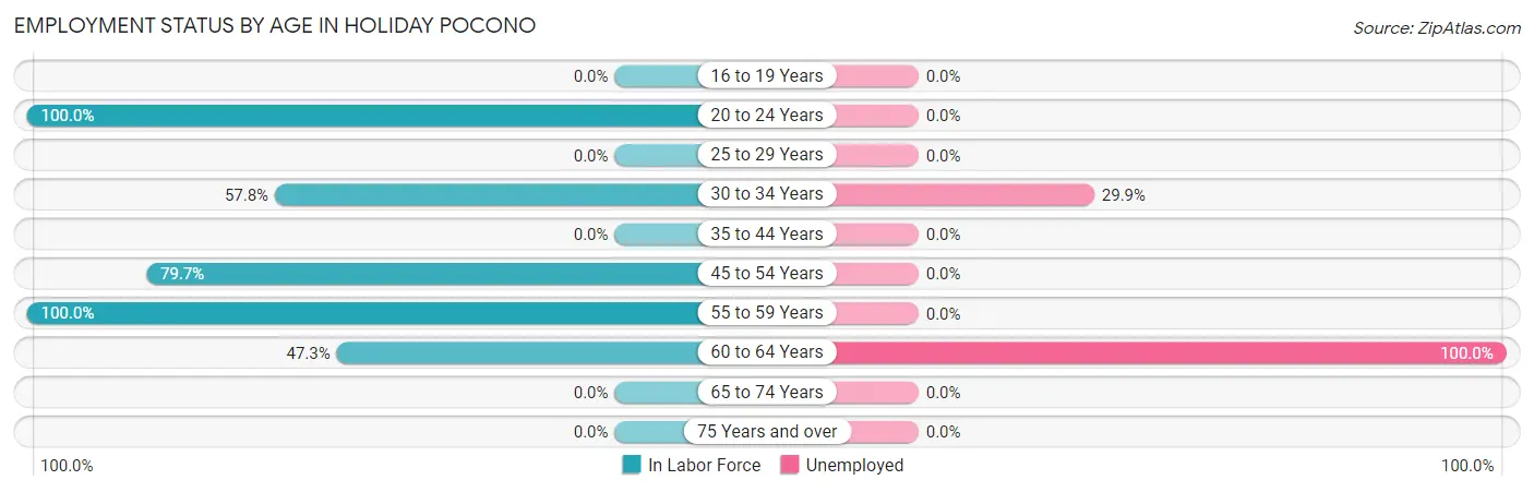 Employment Status by Age in Holiday Pocono