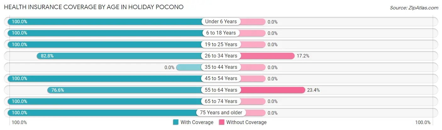 Health Insurance Coverage by Age in Holiday Pocono