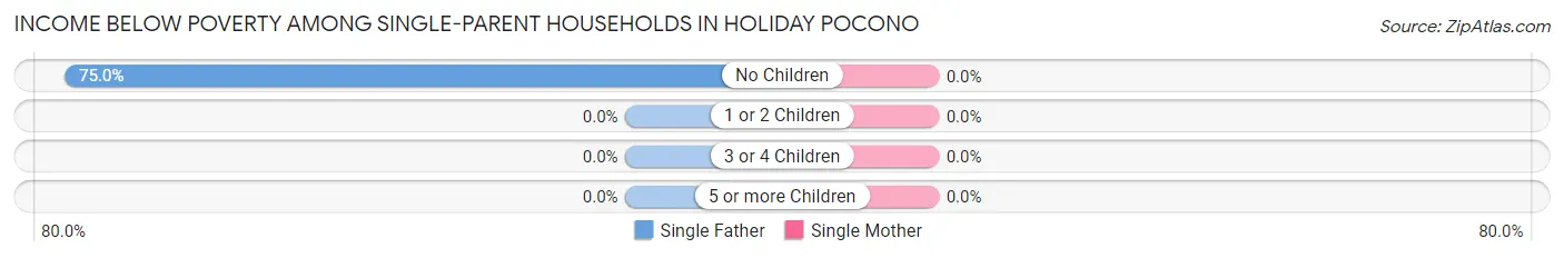 Income Below Poverty Among Single-Parent Households in Holiday Pocono