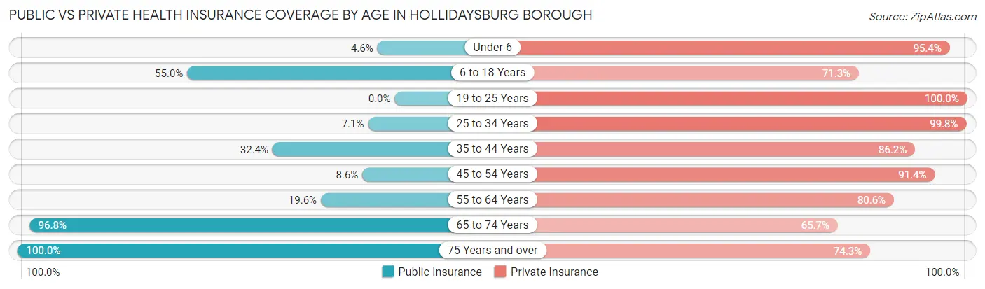 Public vs Private Health Insurance Coverage by Age in Hollidaysburg borough