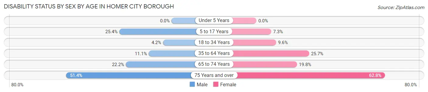 Disability Status by Sex by Age in Homer City borough