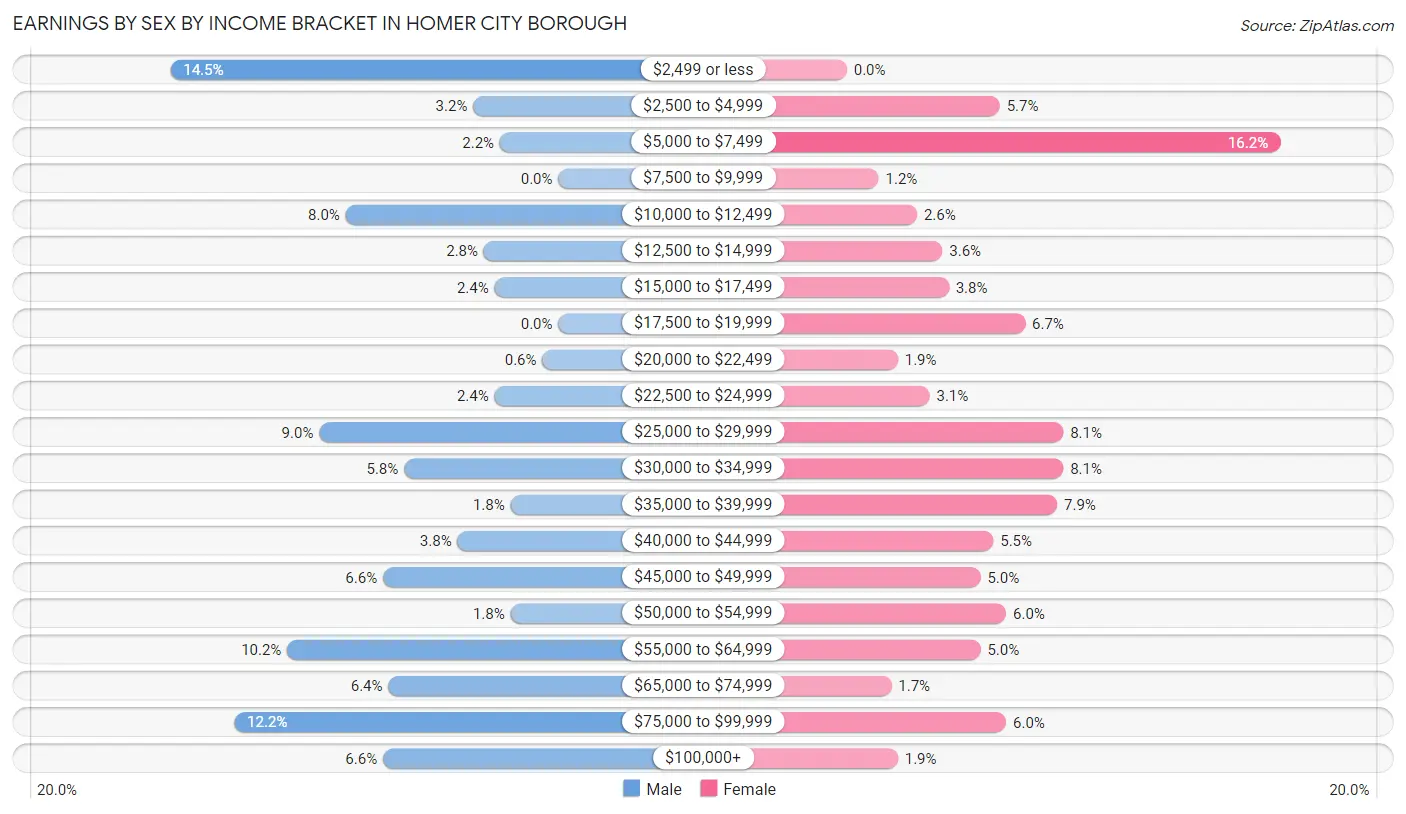 Earnings by Sex by Income Bracket in Homer City borough