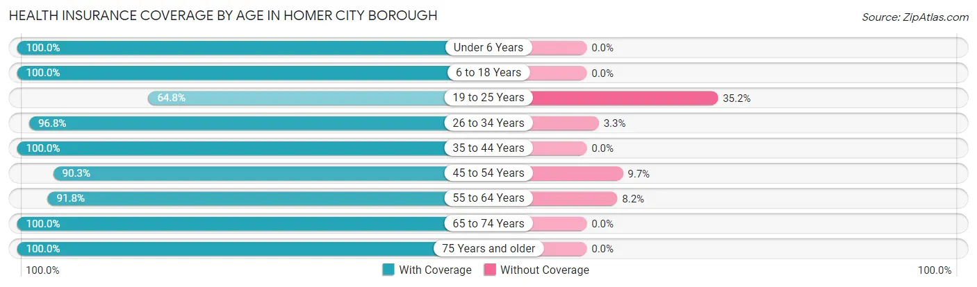 Health Insurance Coverage by Age in Homer City borough