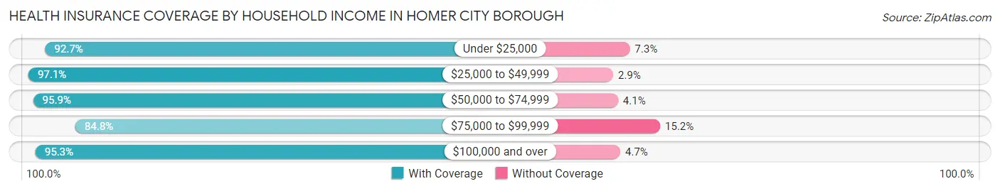 Health Insurance Coverage by Household Income in Homer City borough