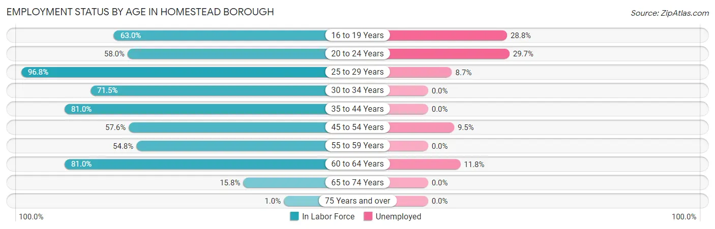 Employment Status by Age in Homestead borough