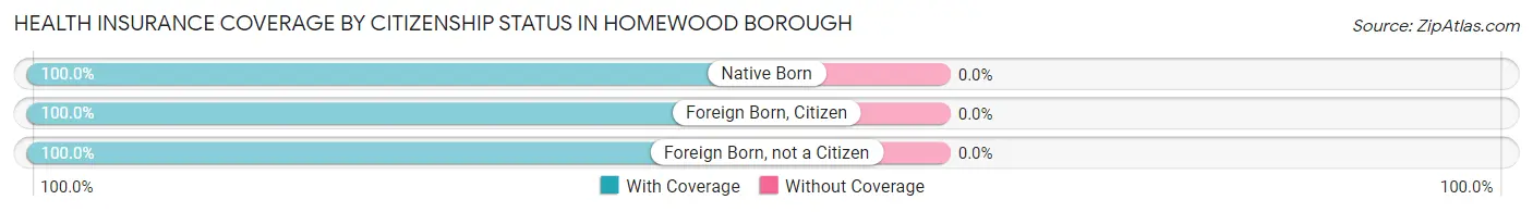 Health Insurance Coverage by Citizenship Status in Homewood borough