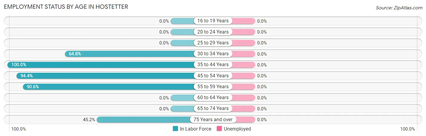 Employment Status by Age in Hostetter