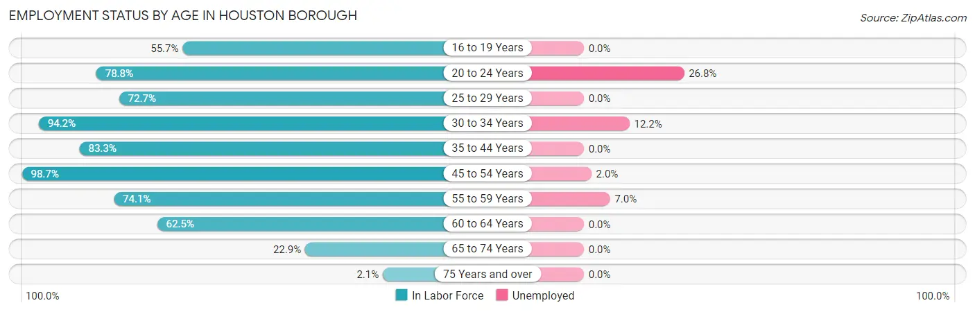 Employment Status by Age in Houston borough