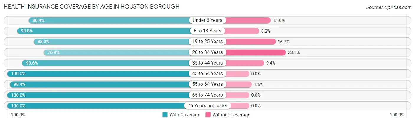 Health Insurance Coverage by Age in Houston borough