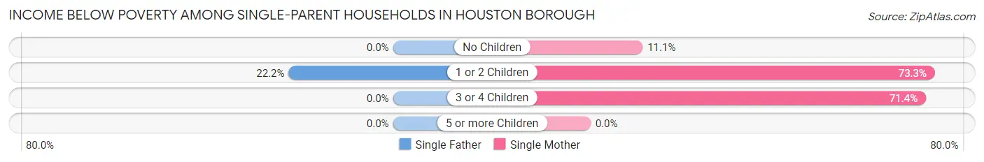 Income Below Poverty Among Single-Parent Households in Houston borough