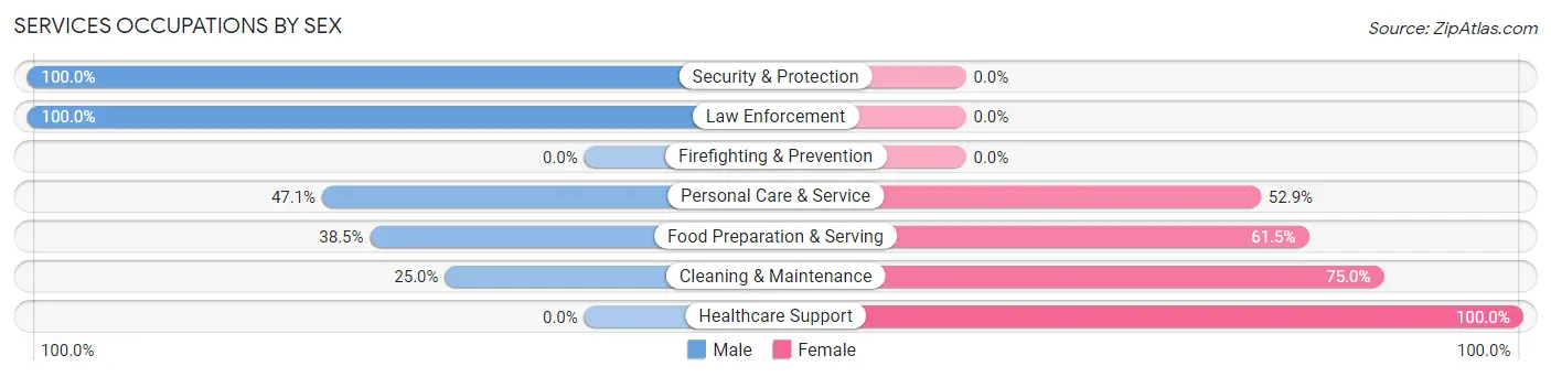 Services Occupations by Sex in Houston borough