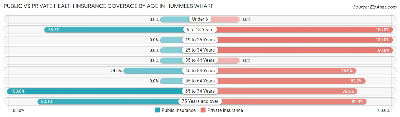 Public vs Private Health Insurance Coverage by Age in Hummels Wharf