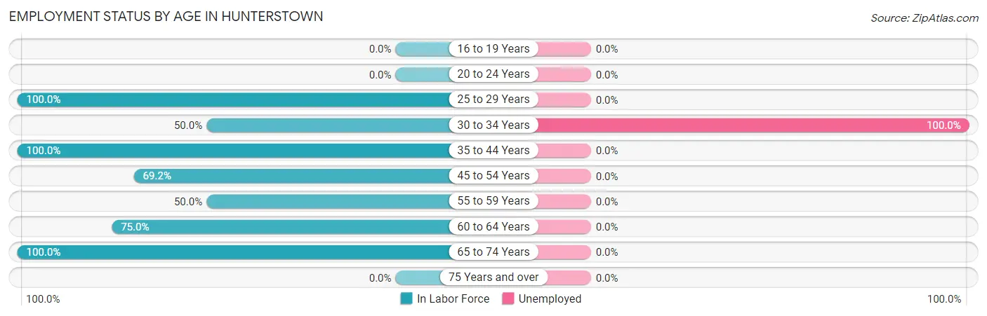 Employment Status by Age in Hunterstown