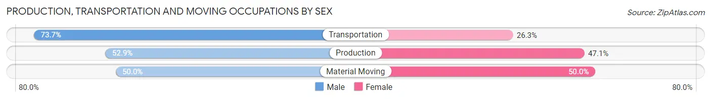 Production, Transportation and Moving Occupations by Sex in Hyde Park borough