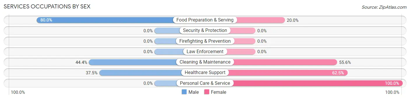 Services Occupations by Sex in Hyde Park borough
