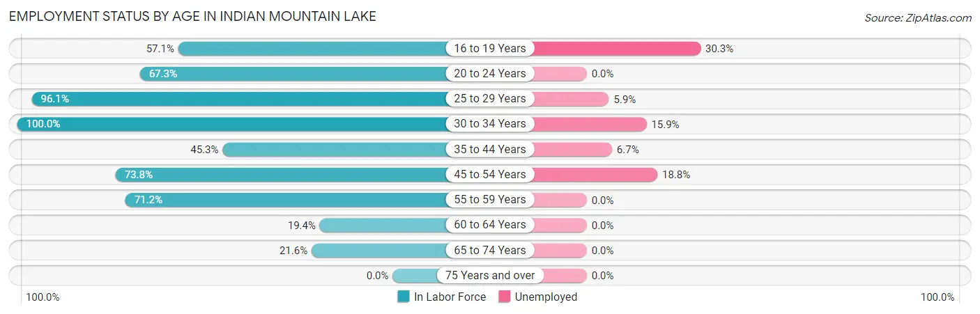 Employment Status by Age in Indian Mountain Lake