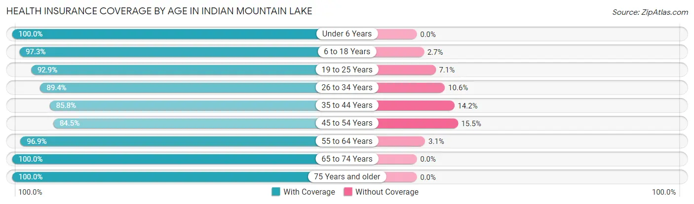 Health Insurance Coverage by Age in Indian Mountain Lake