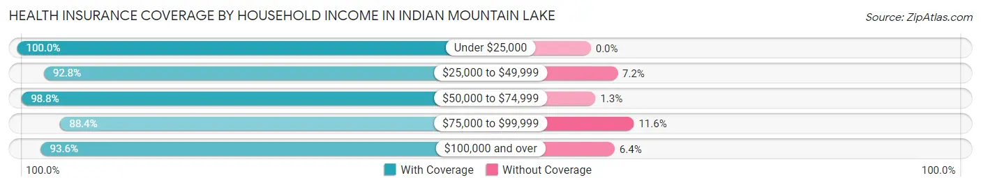 Health Insurance Coverage by Household Income in Indian Mountain Lake