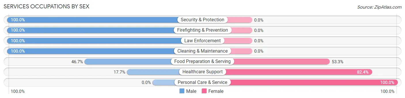 Services Occupations by Sex in Ivyland borough