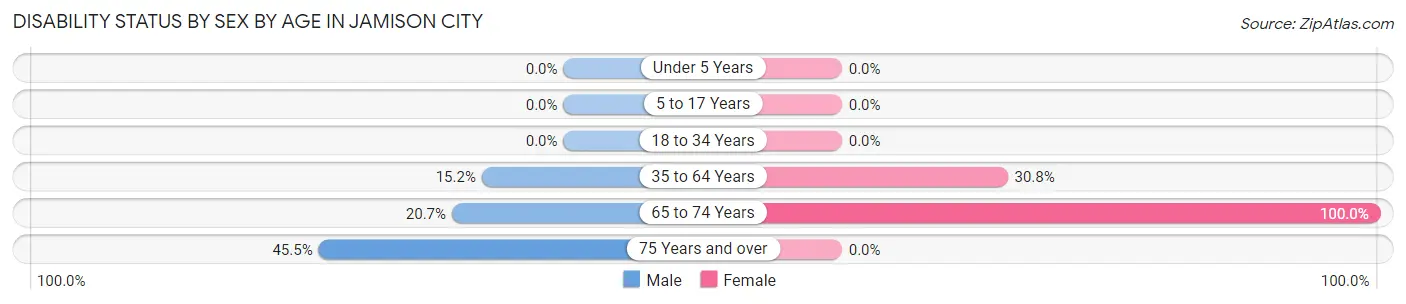 Disability Status by Sex by Age in Jamison City