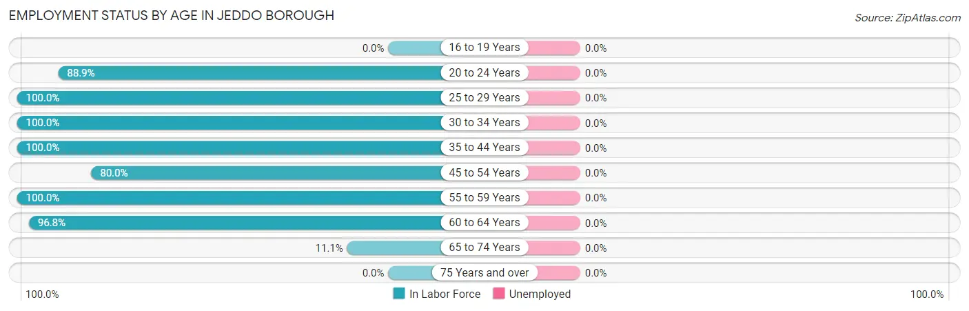 Employment Status by Age in Jeddo borough
