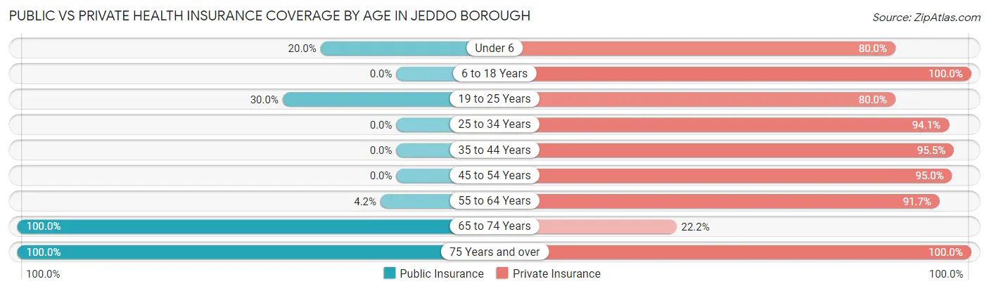 Public vs Private Health Insurance Coverage by Age in Jeddo borough