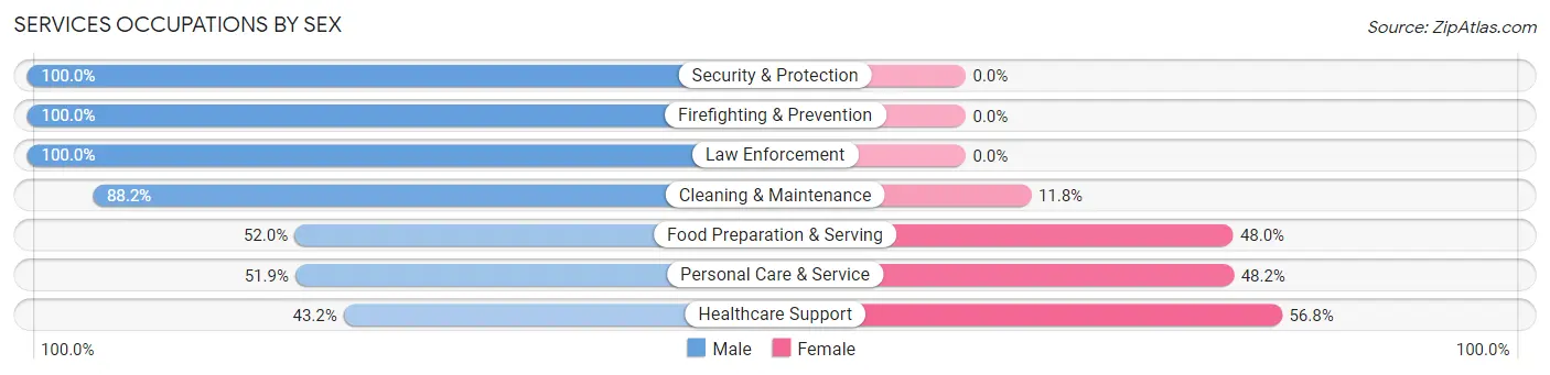 Services Occupations by Sex in Jermyn borough