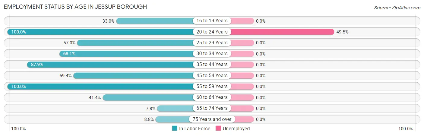 Employment Status by Age in Jessup borough