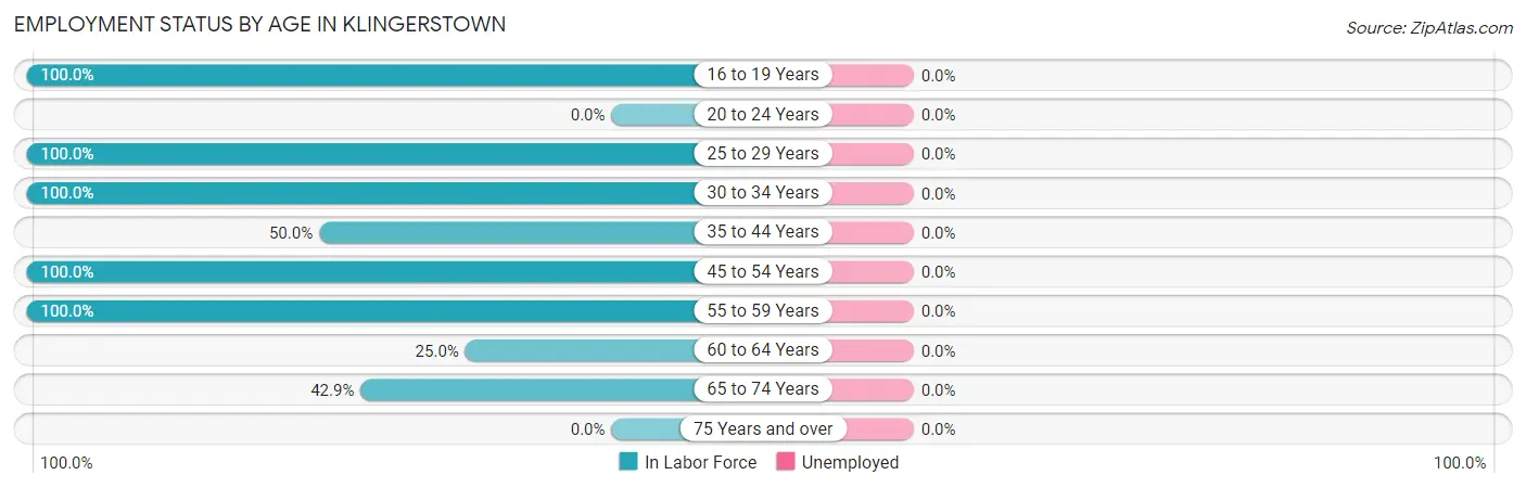 Employment Status by Age in Klingerstown