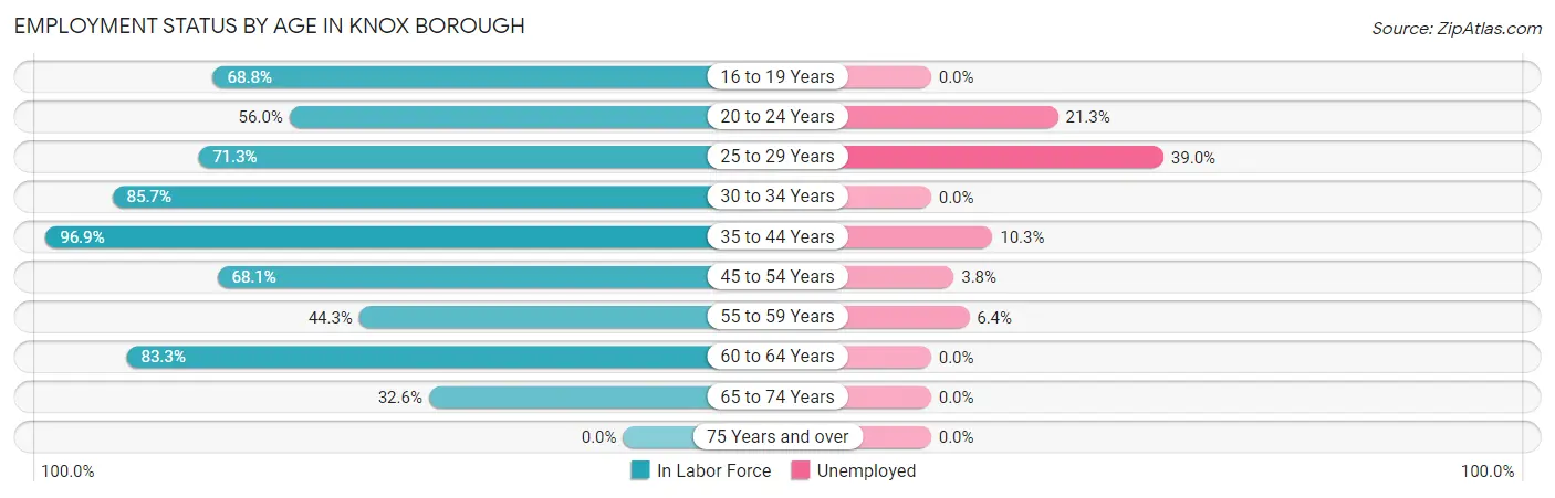 Employment Status by Age in Knox borough