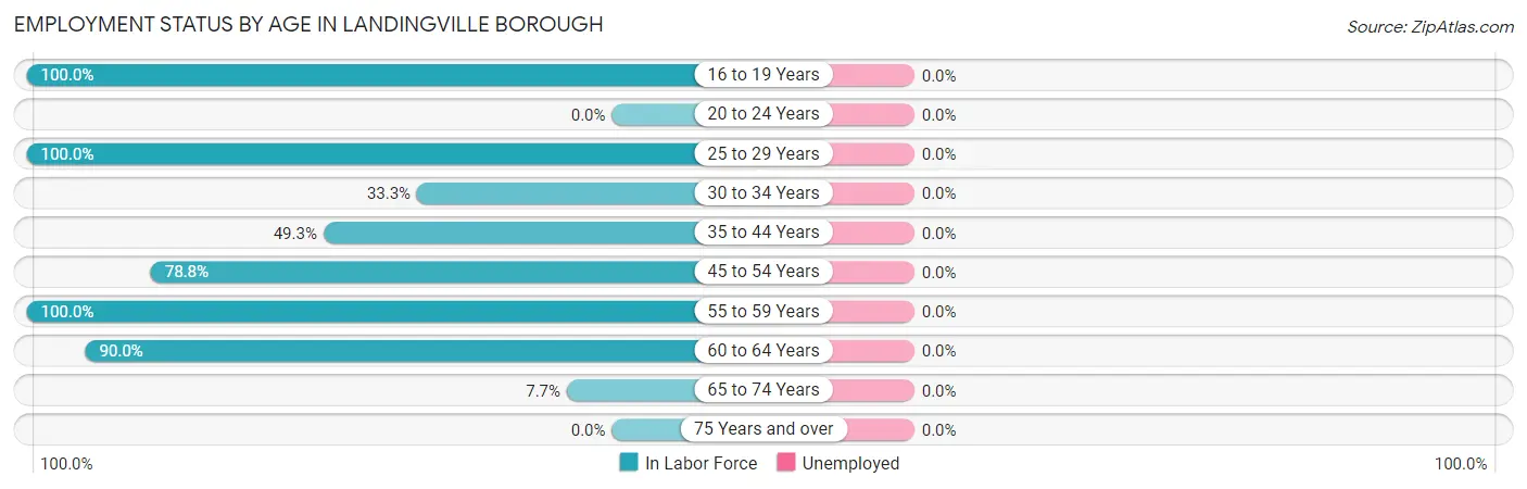 Employment Status by Age in Landingville borough