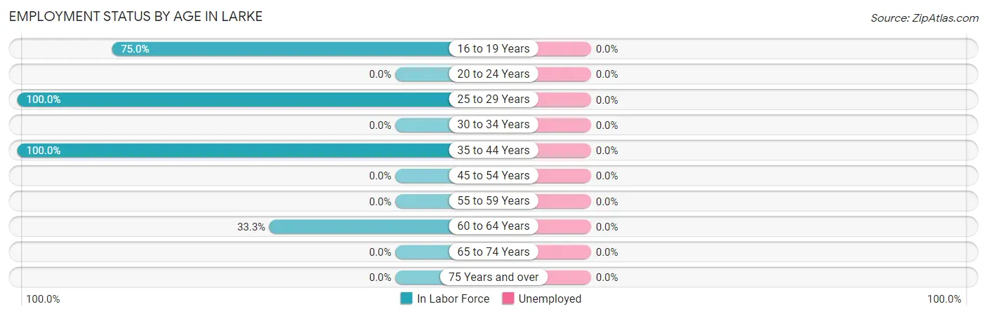 Employment Status by Age in Larke