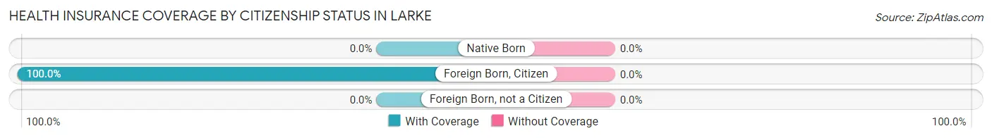 Health Insurance Coverage by Citizenship Status in Larke