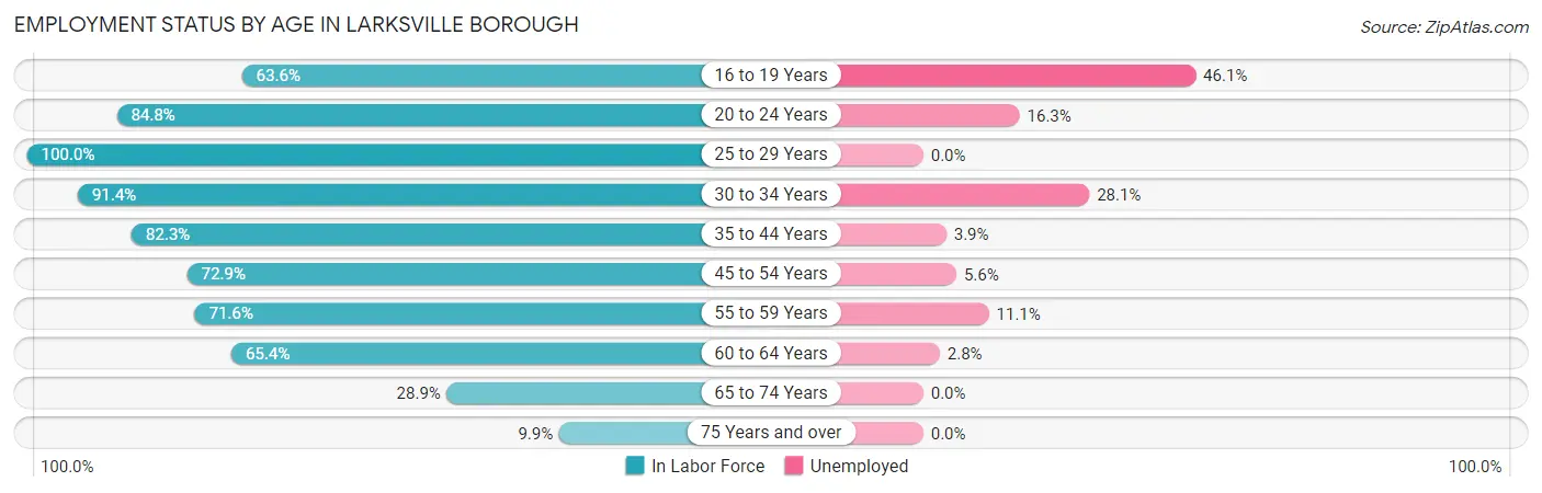 Employment Status by Age in Larksville borough