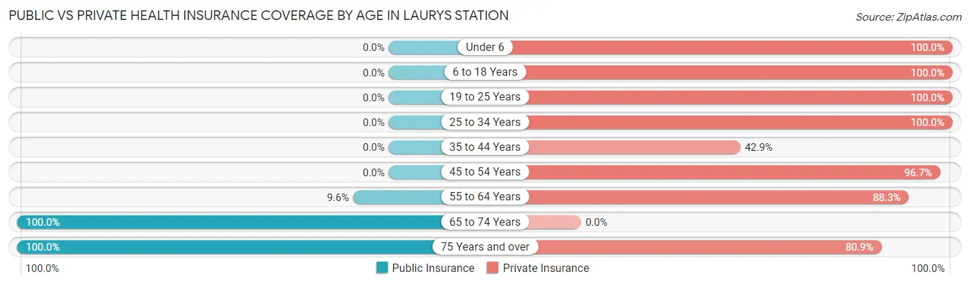 Public vs Private Health Insurance Coverage by Age in Laurys Station