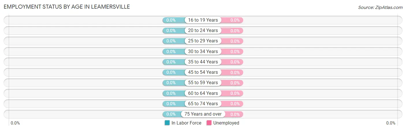 Employment Status by Age in Leamersville