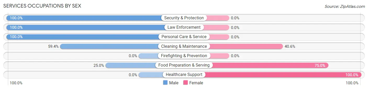 Services Occupations by Sex in Liberty borough Allegheny County